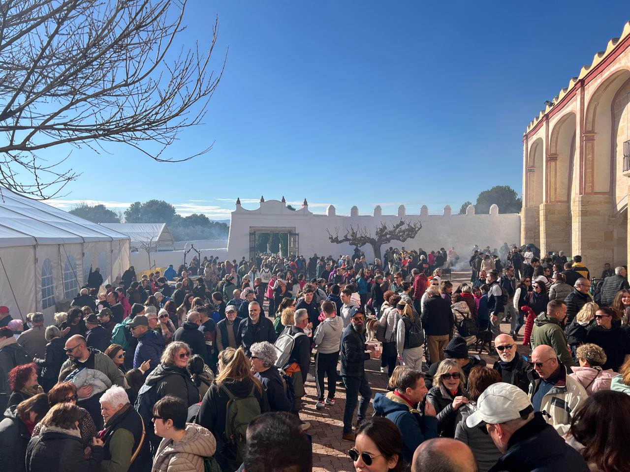 Festa de Sant Sebastià a Vinaròs