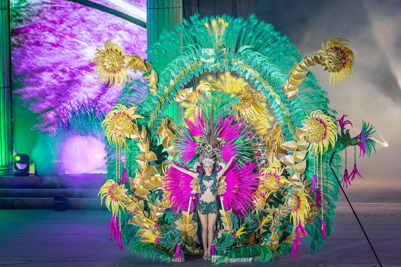 Carnestoltes de Vinaròs 2025 - Foto: Comité Organitzador Carnaval