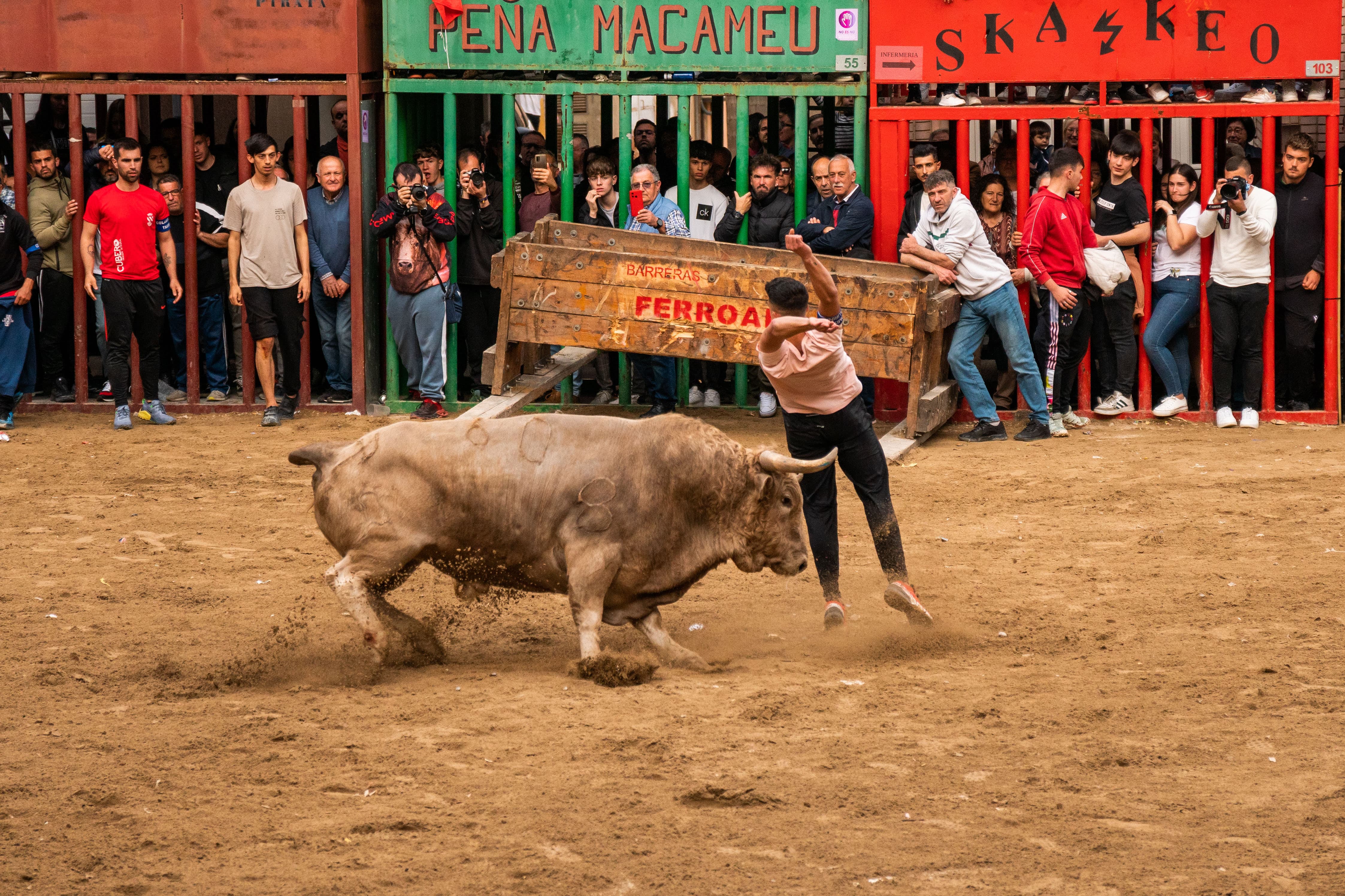 Pasqua taurina en l'Alcora