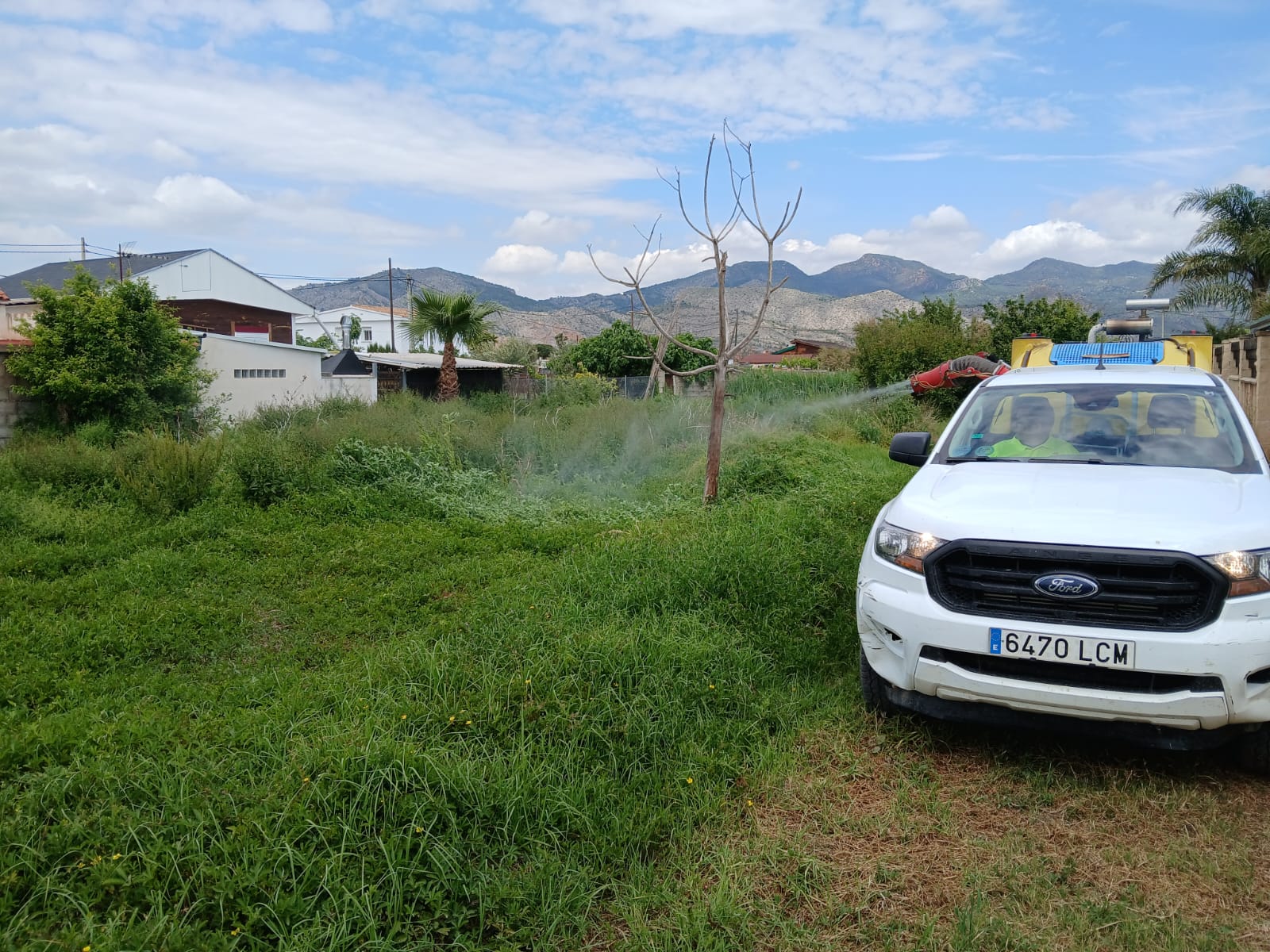 Actuacions contra mosquits a Castelló