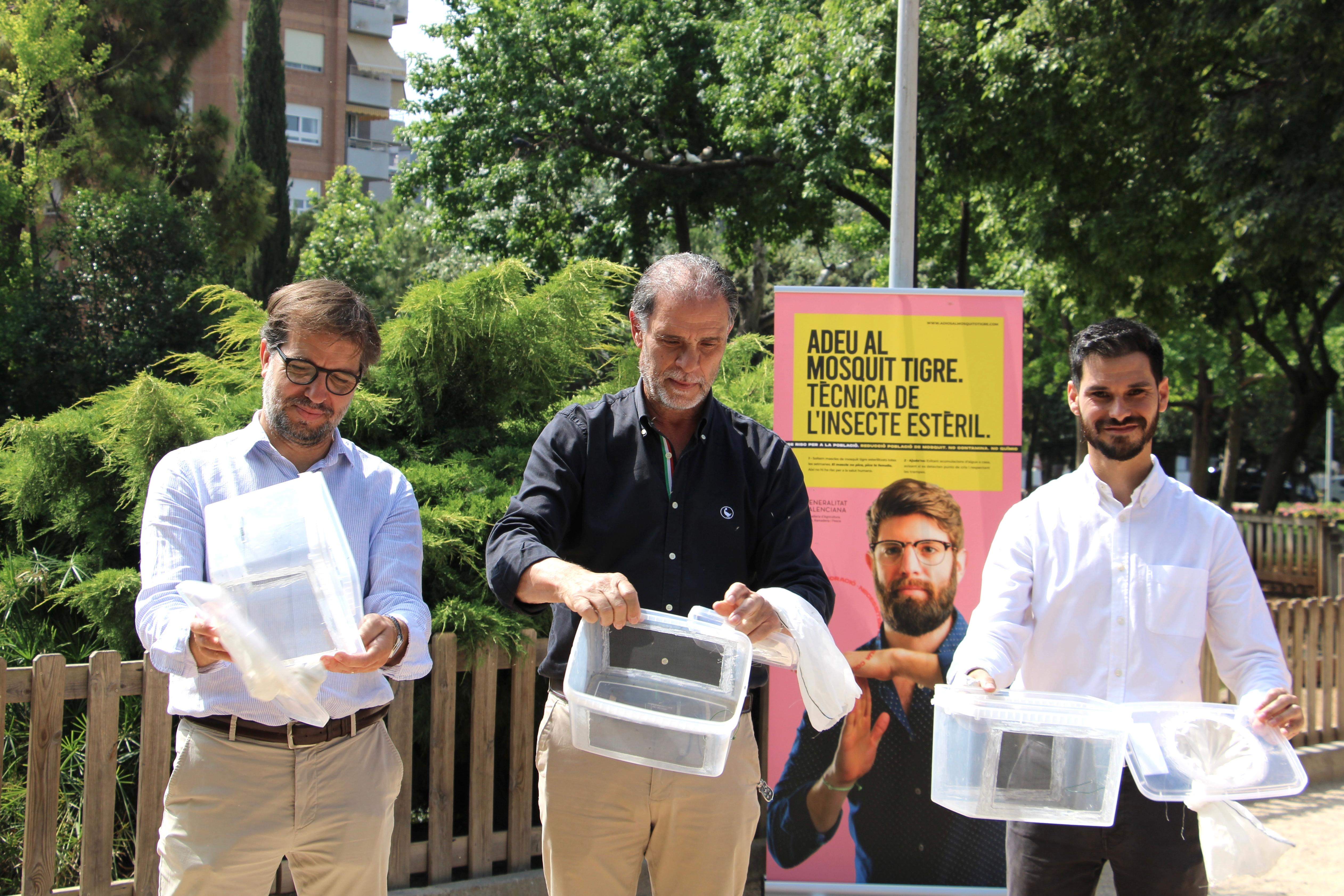 Solta de mosquits tigre esterilitzats a Castelló
