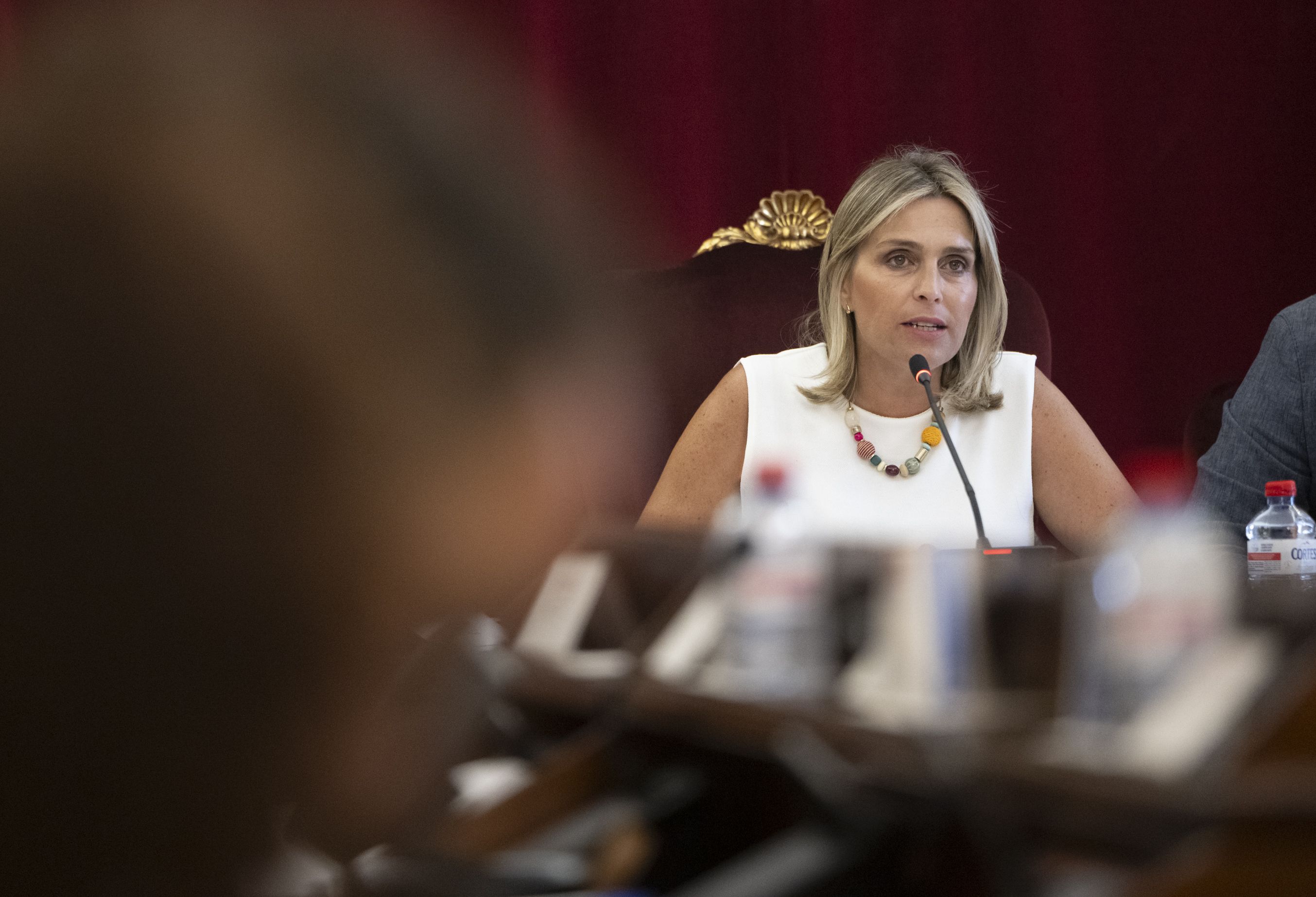 Marta Barrachina en el debate del Estado de la Provincia de 2025