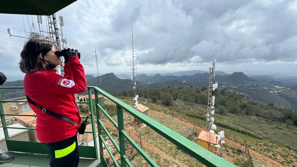 WhatsApp Image 2025 04 14 at 10.03.09