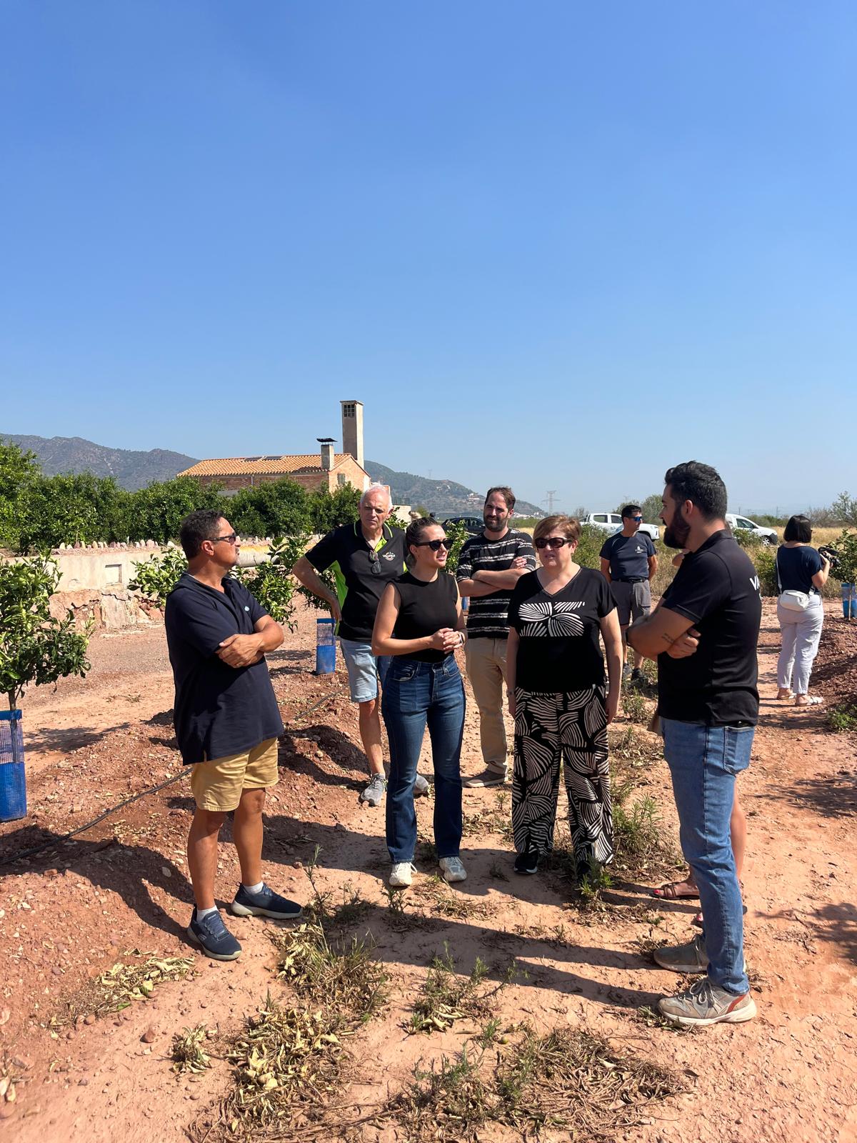 Visita a terrenys afectats per la dana a la Vall d'Uixó
