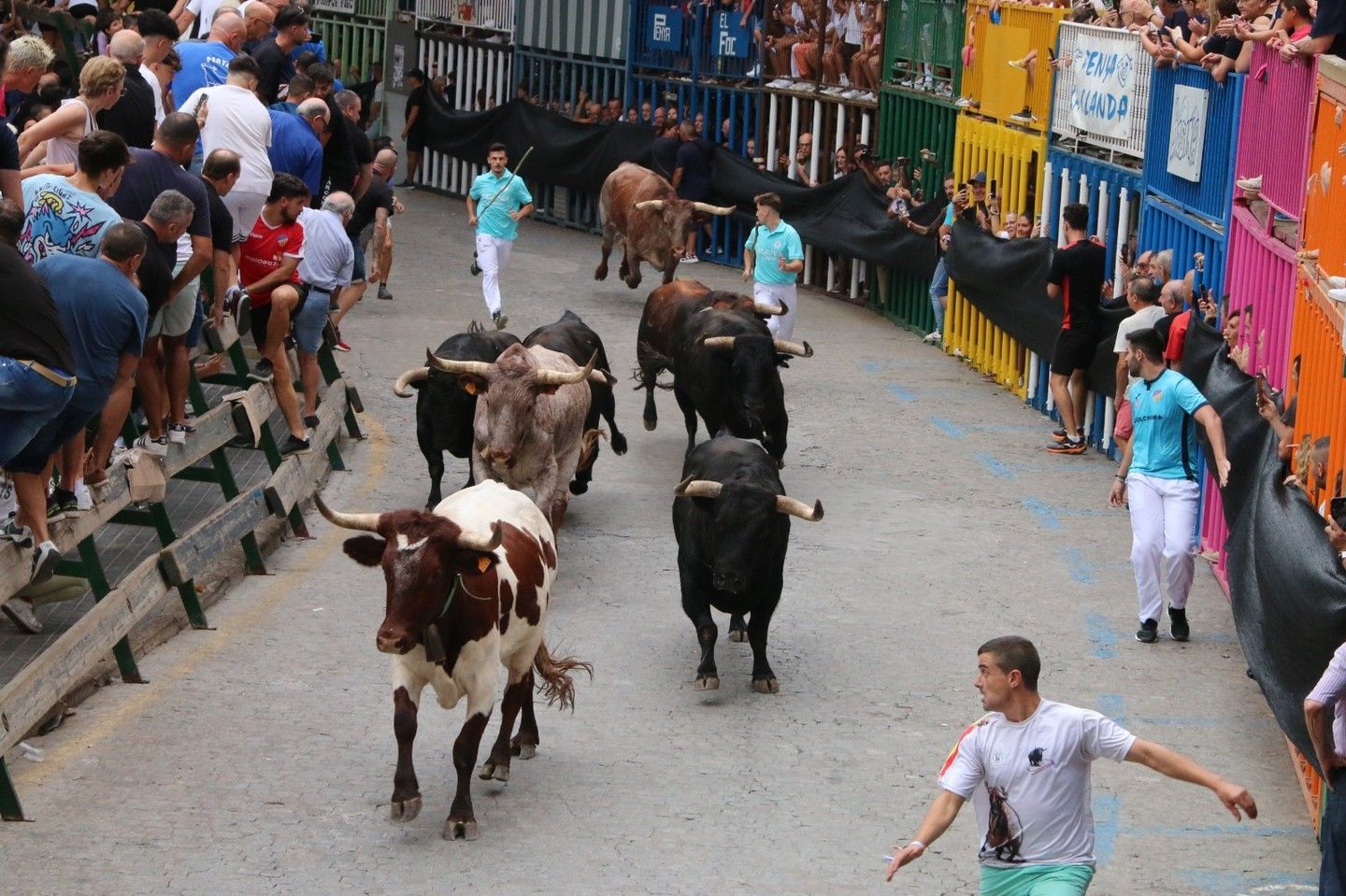 Toros de las Fiestas de Burriana