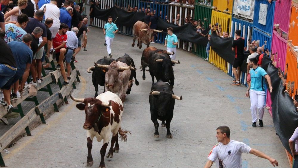 Toros de las Fiestas de Burriana