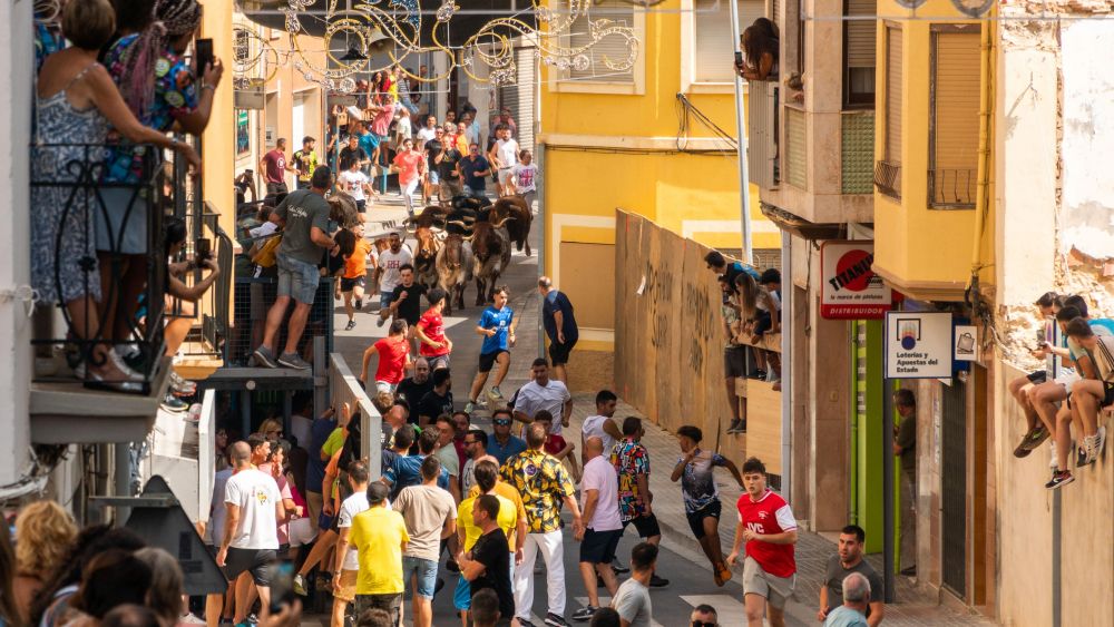 Toros en las fiestas de l'Alcora