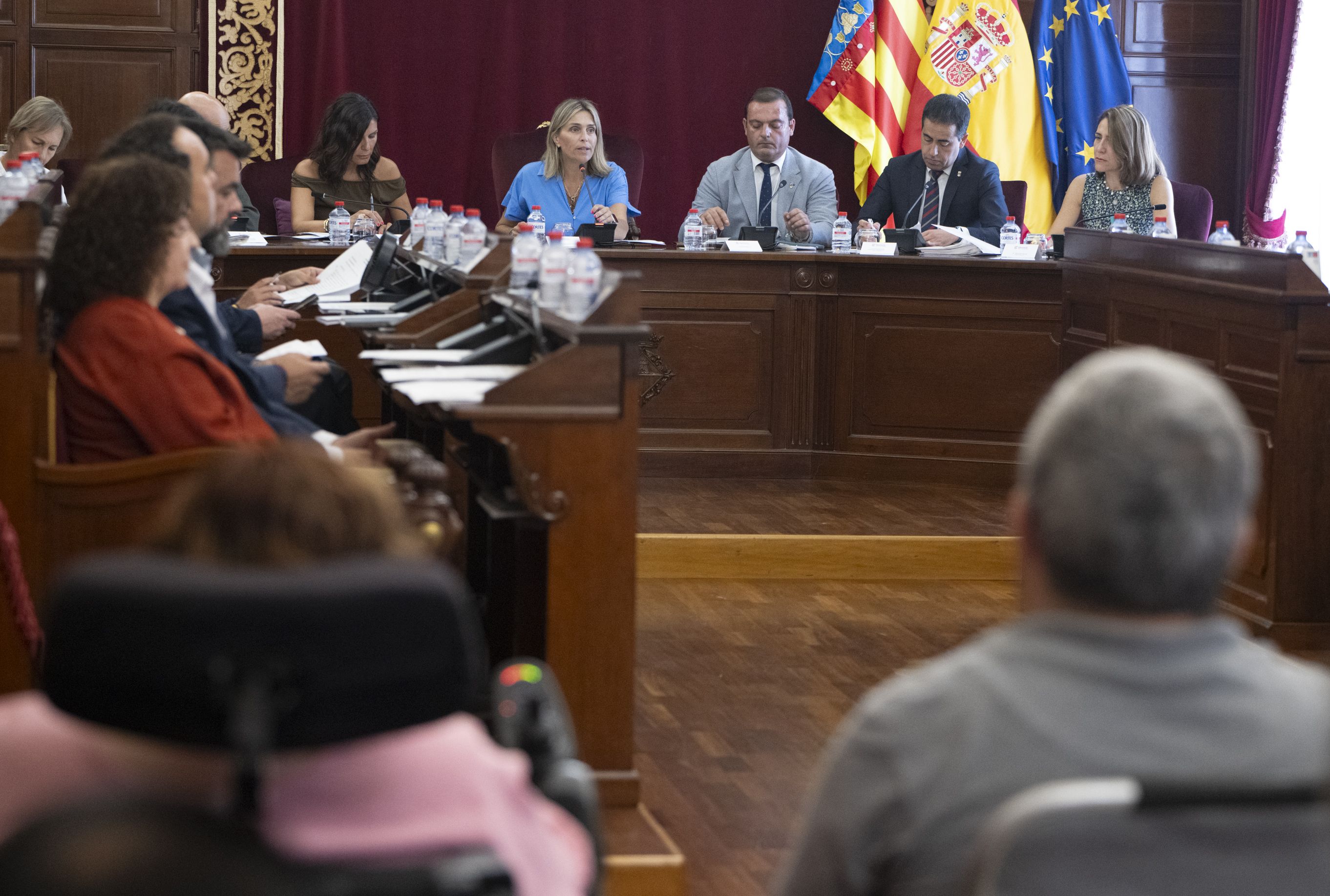 Pleno ordinario julio