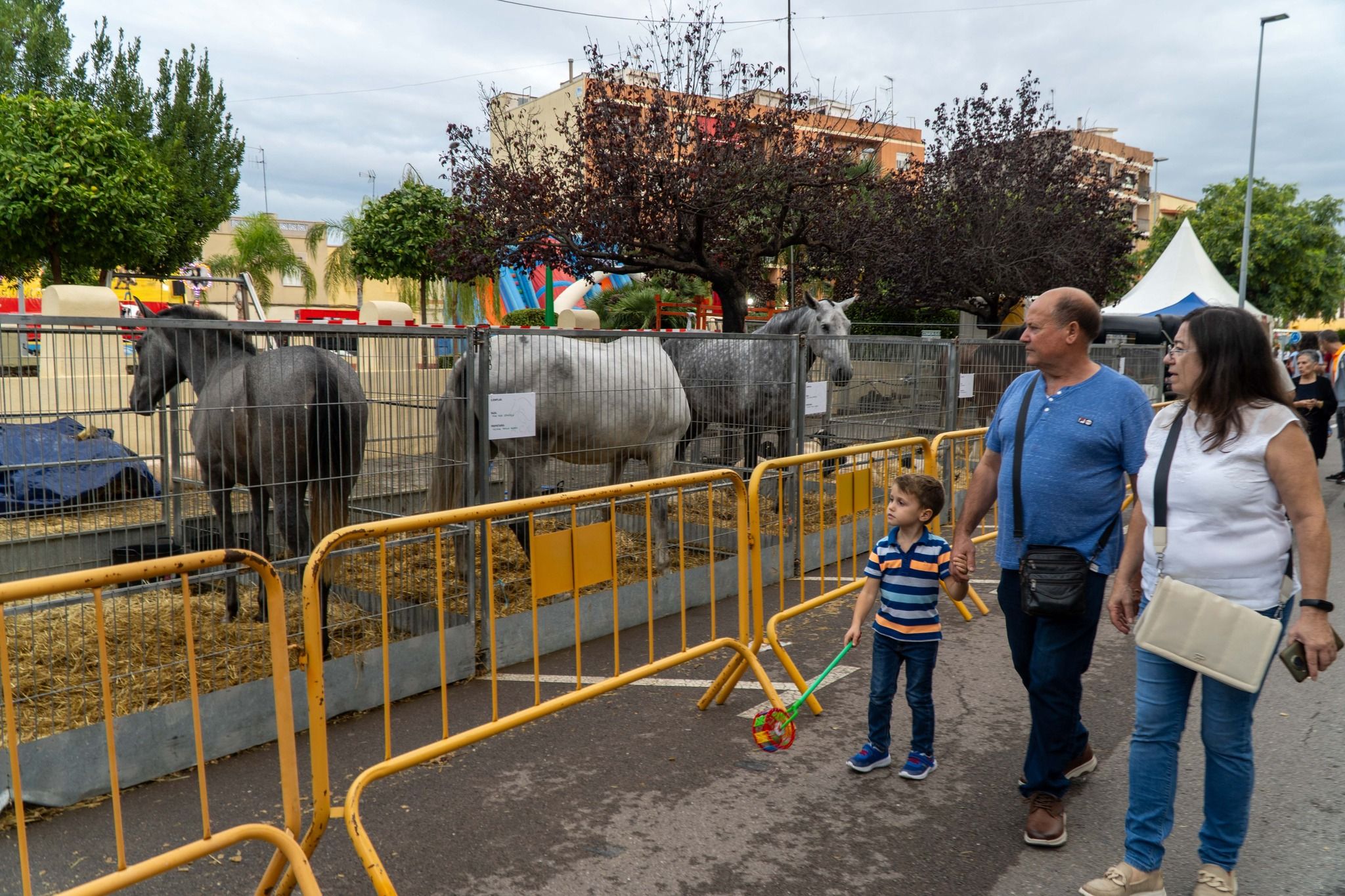 Fira de Ramaderia de Nules - Foto: Facebook Ajuntament de Nules