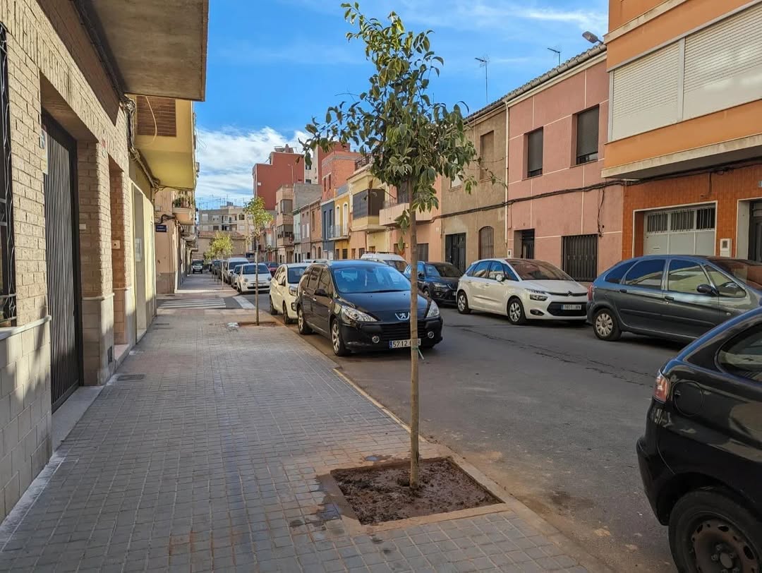 Nous arbres en un carrer a Burriana