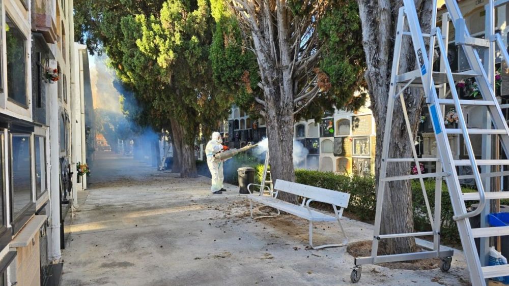 Fumigació contra mosquits en el cementeri de Borriana