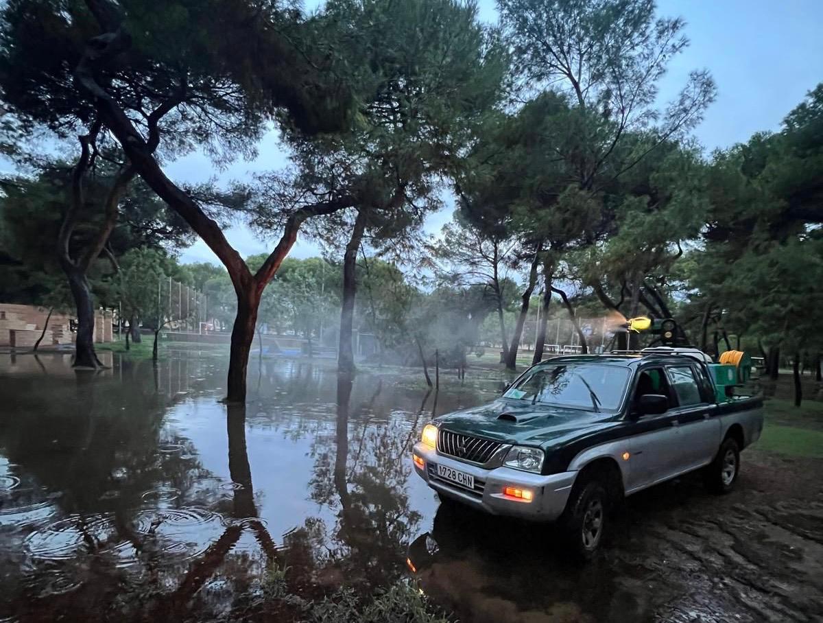 Fumigació de mosquits en Castelló
