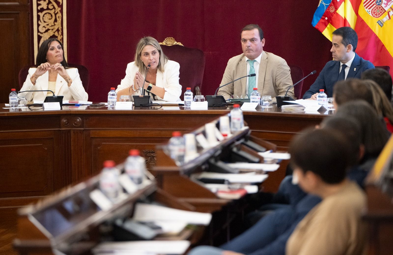 Ple ordinari d'octubre en la Diputació de Castelló