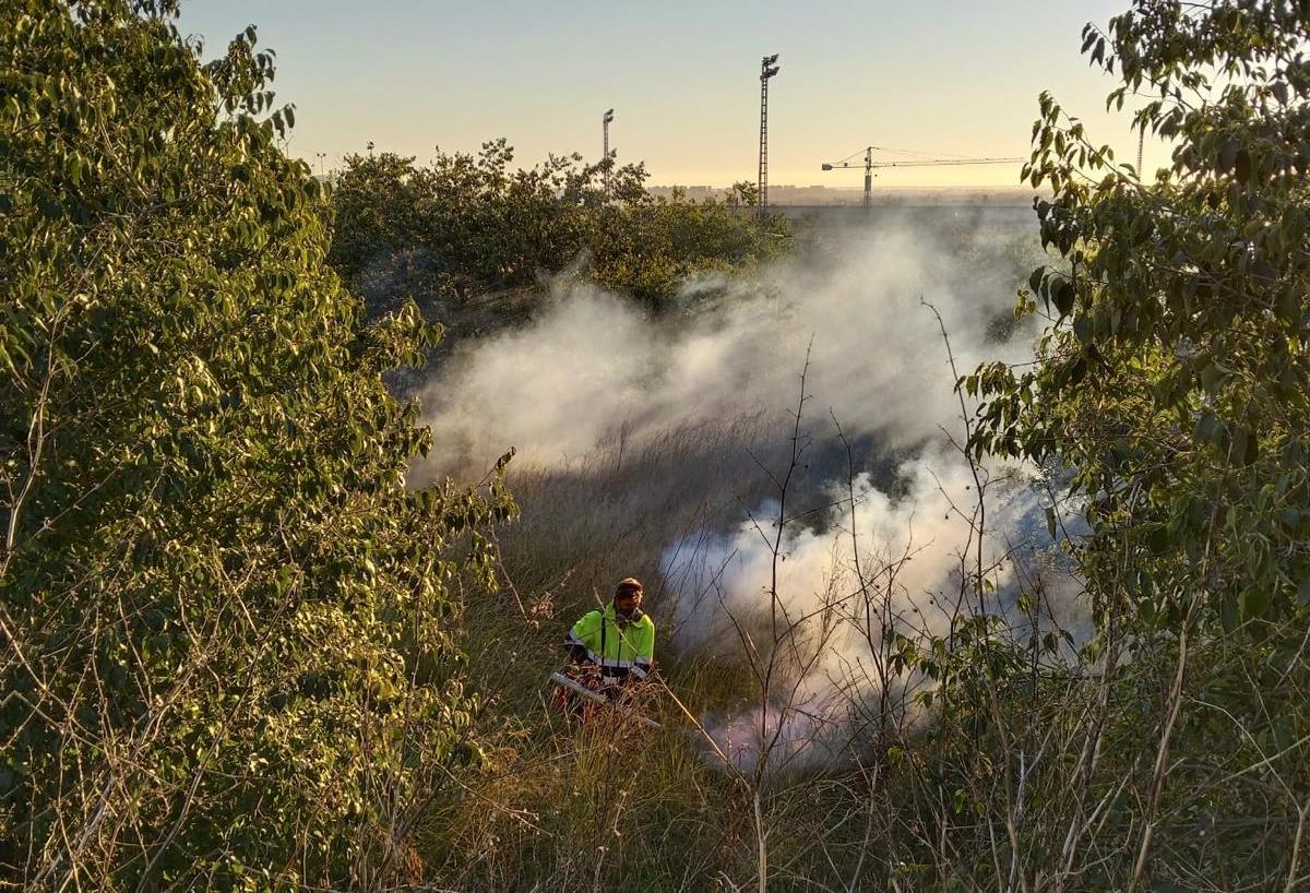 Un operari actua en el pla antimosquits de Castelló