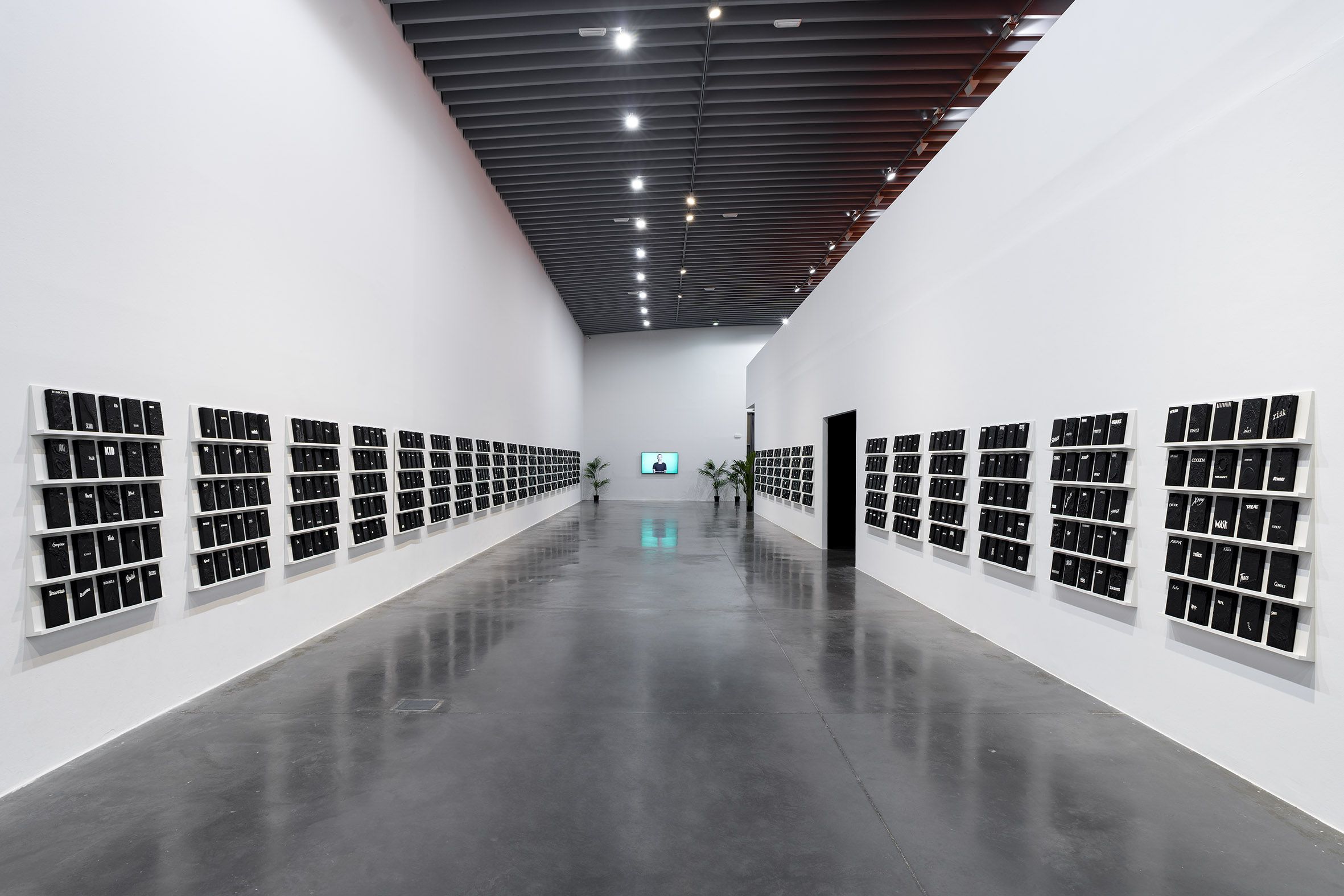 Exposición en el Espai d’Art Contemporani de Castelló