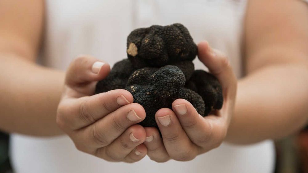 Trufes negres