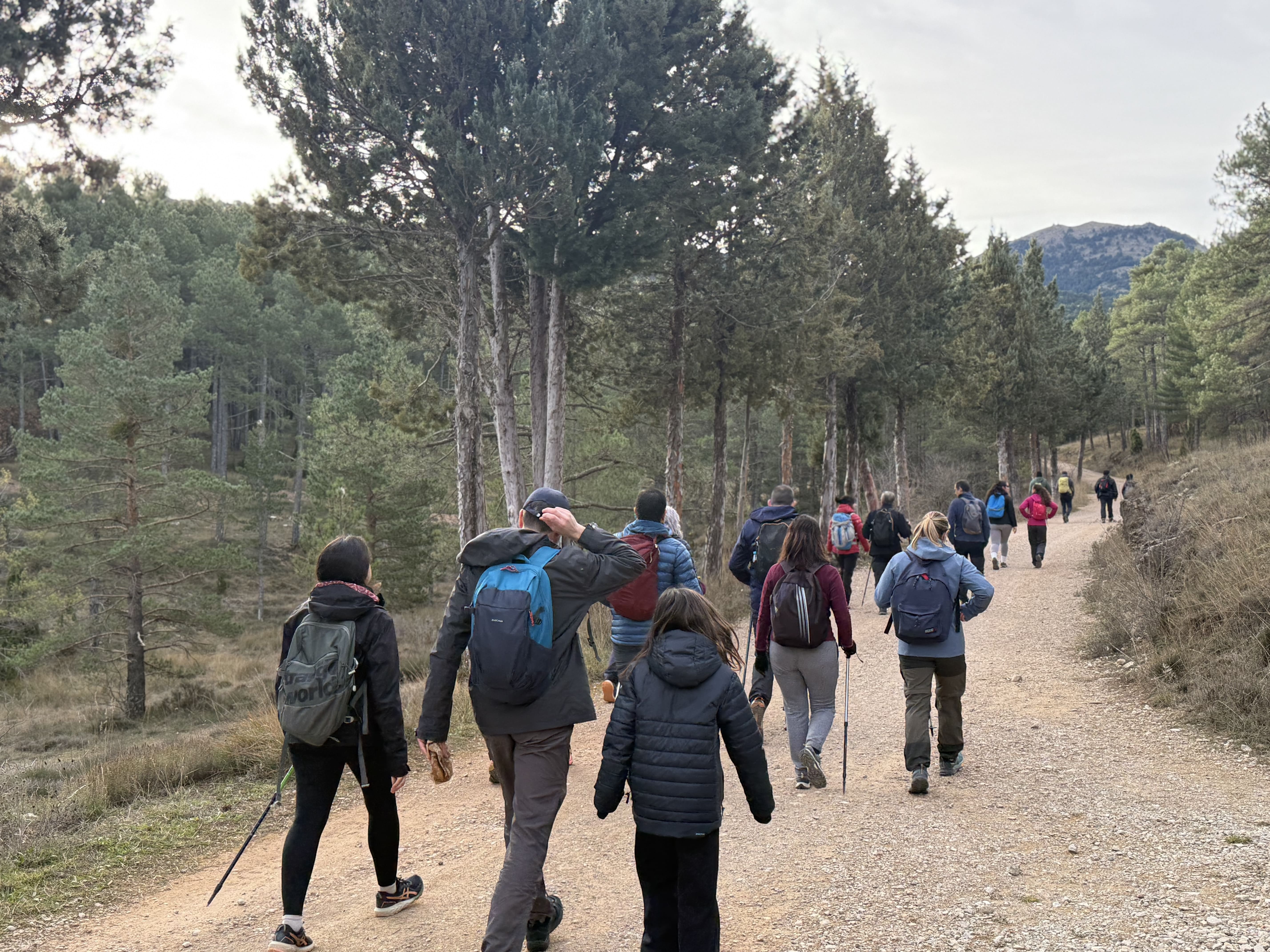 Caminant amb la Diputació 