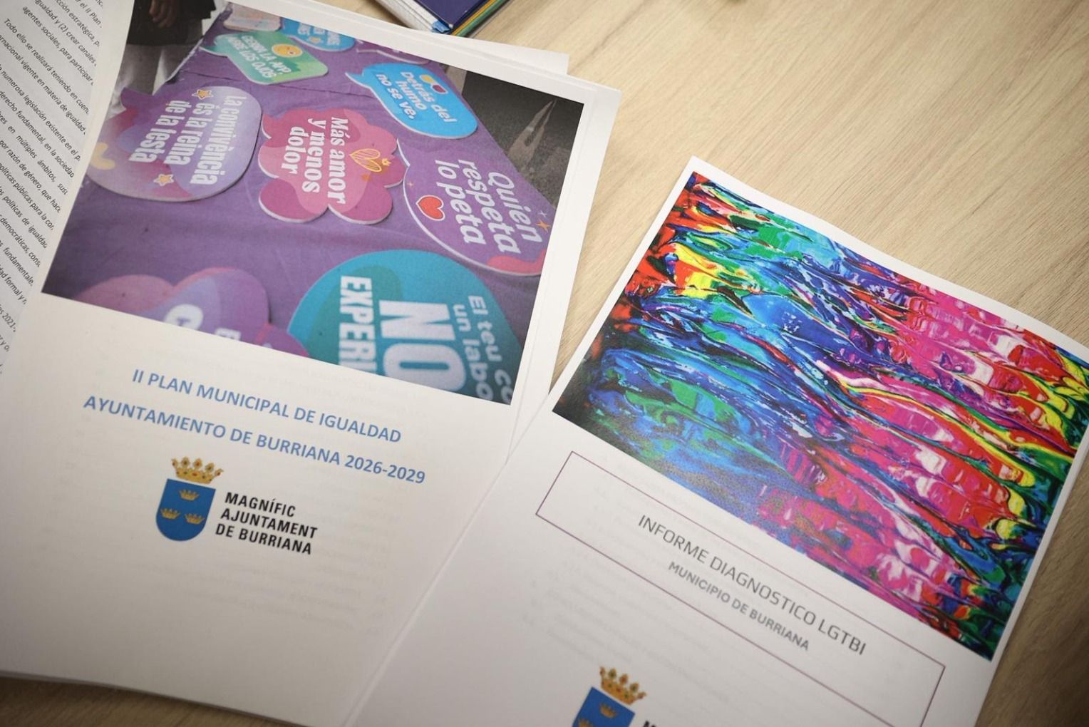 Pla d'Igualtat de Borriana