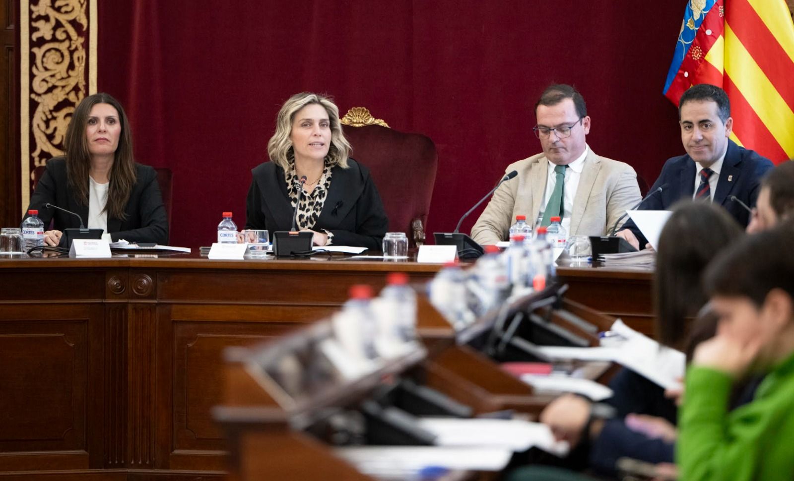 Marta Barrachina presidix el primer ple de la Diputació en 2026