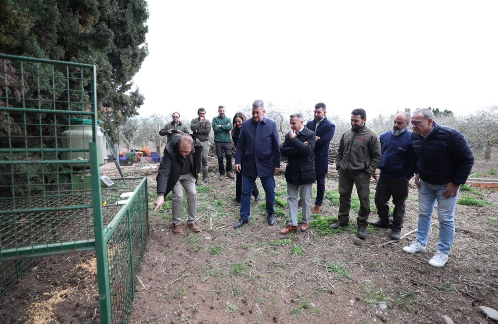 Instal·lació de gàbies per al control de la població de senglars