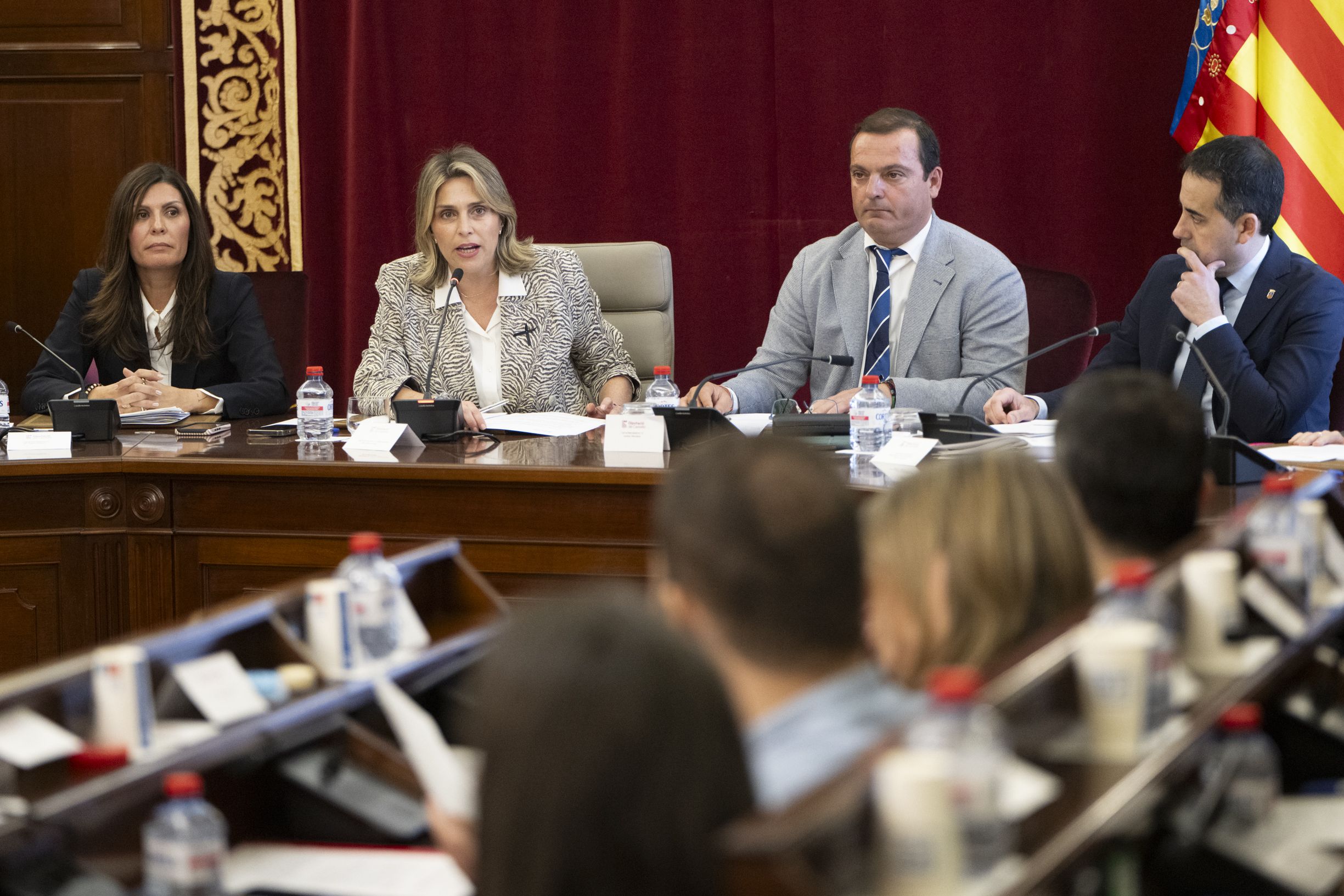 Ple ordinari de febrer de la Diputació de Castelló