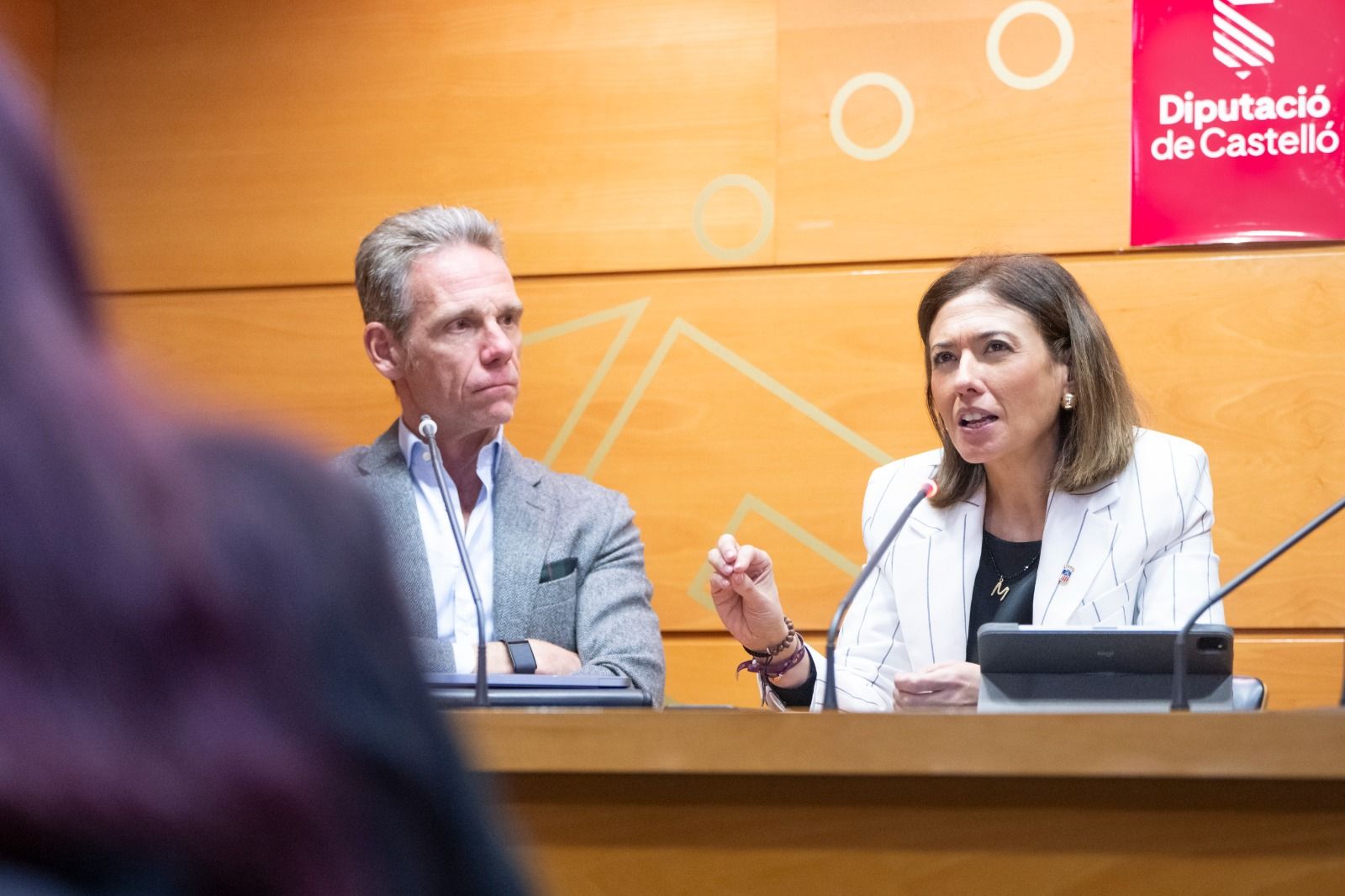 Presentació de l'Estratègia Provincial IA de Castelló Presentació de l'Estratègia Provincial IA de Castelló