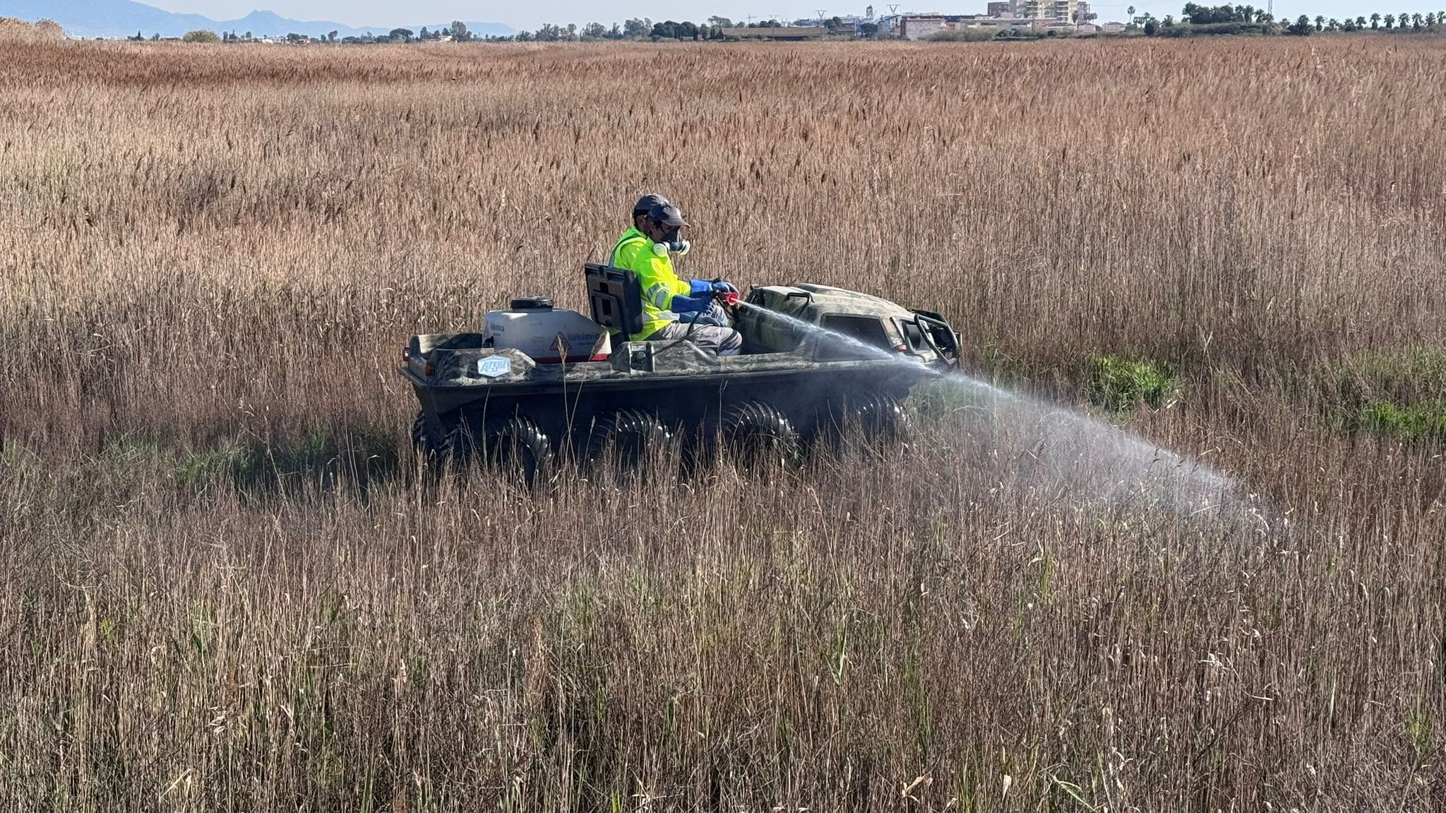 Prevenció contra els mosquits en la zona del litoral de Castelló Prevenció contra els mosquits en la zona del litoral de Castelló