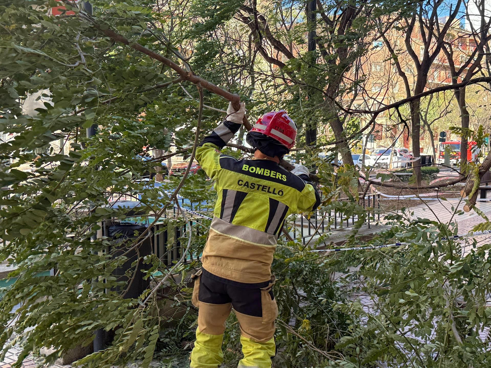 Un bomber de la ciutat de Castelló durant un servici a conseqüència del vent Un bomber de la ciutat de Castelló durant un servici a conseqüència del vent