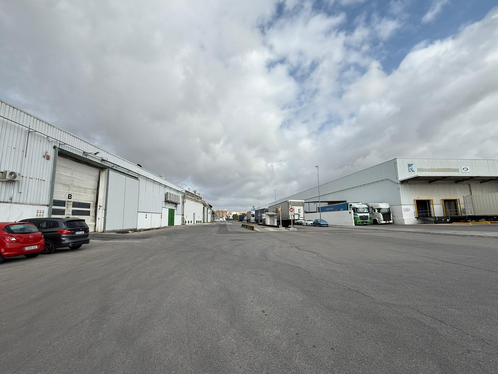 Borriana aprova la reparcel·lació de la Unitat d'Execució Camí Xamussa