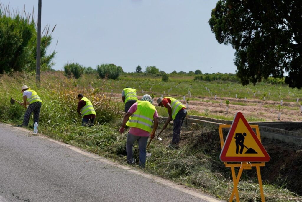 Ocupació agrària Burriana