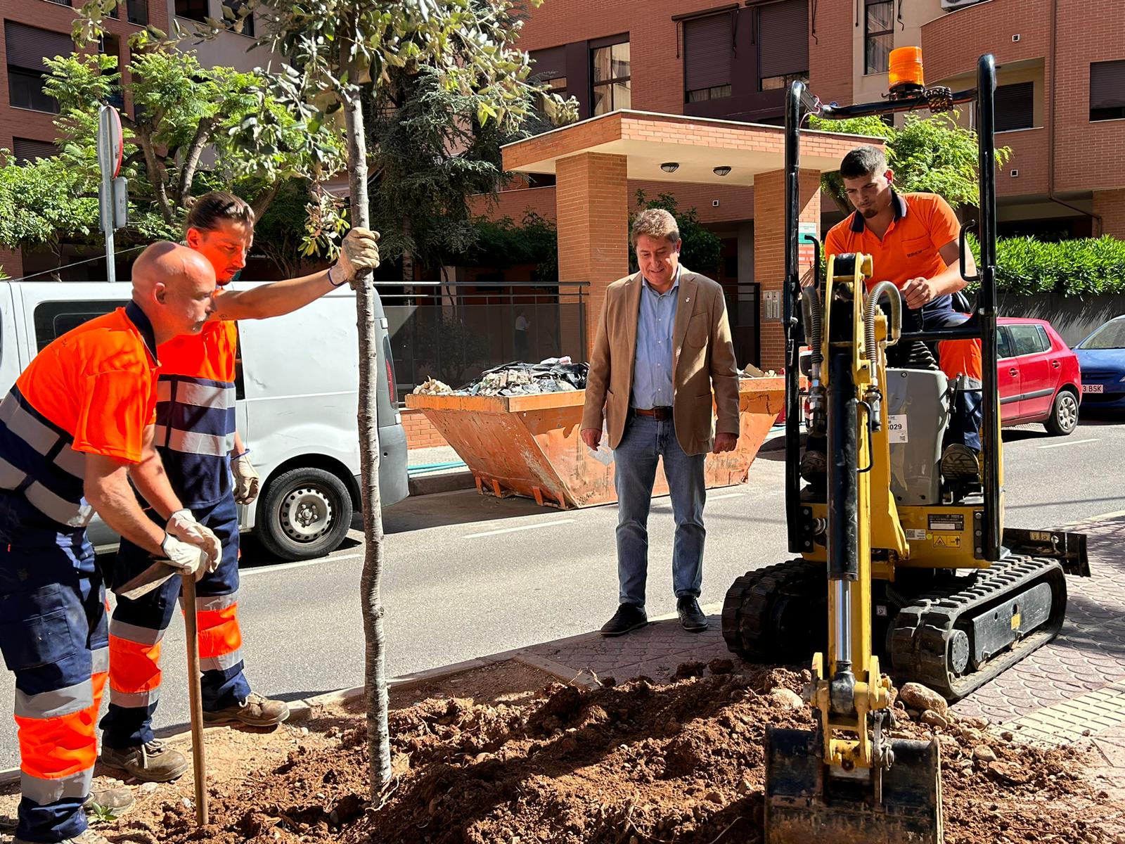 Plantación de nuevos árboles en Castellón Plantación de nuevos árboles en Castellón