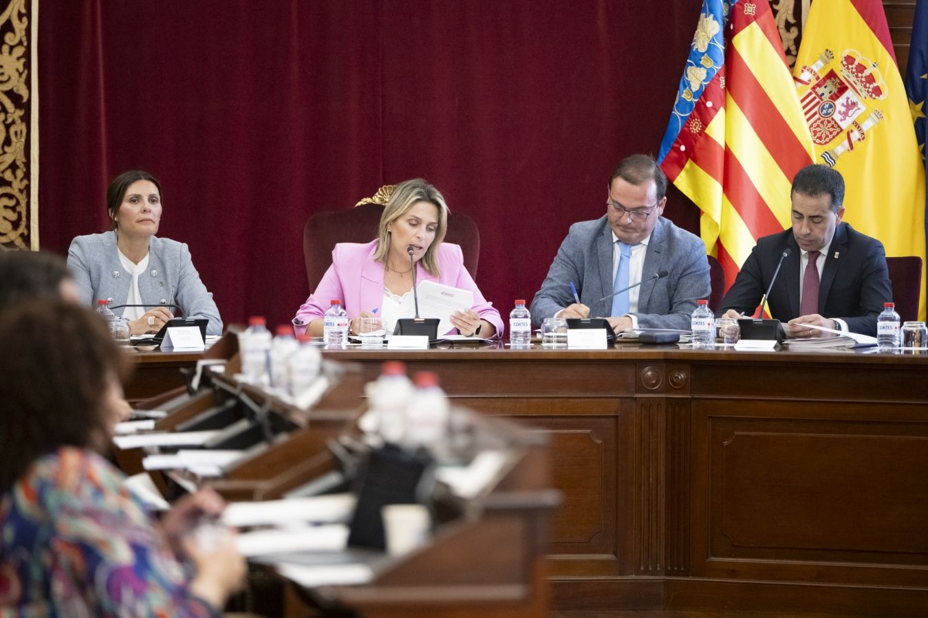 Ple de la Diputació