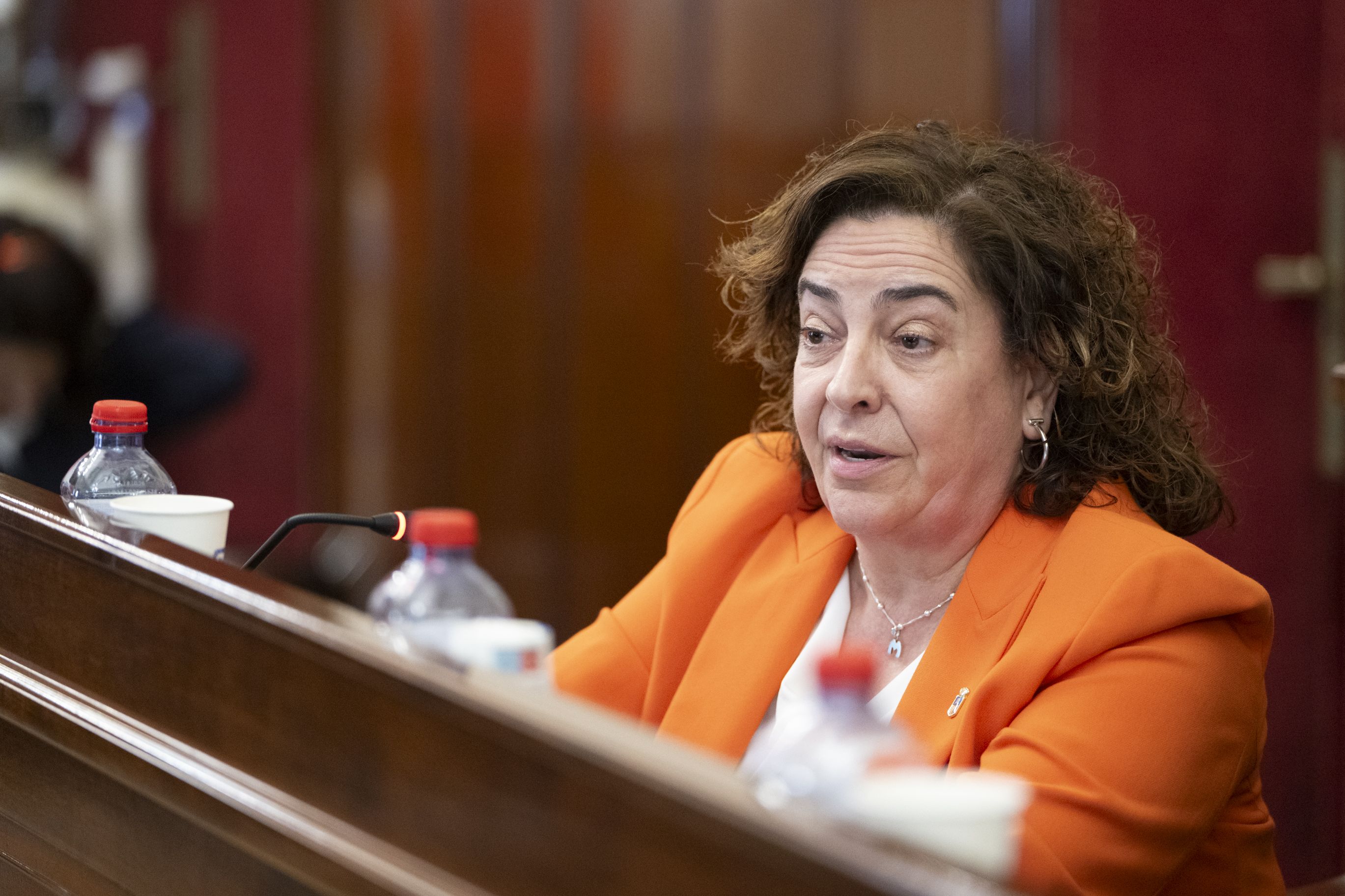 La diputada d'Igualtat, Marisa Torlà