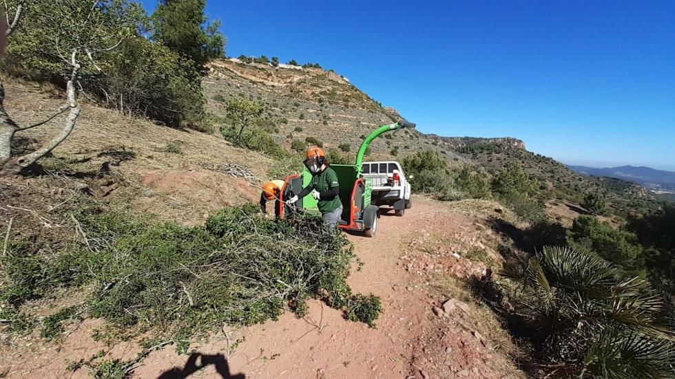 Tasques de prevenció d'incendis