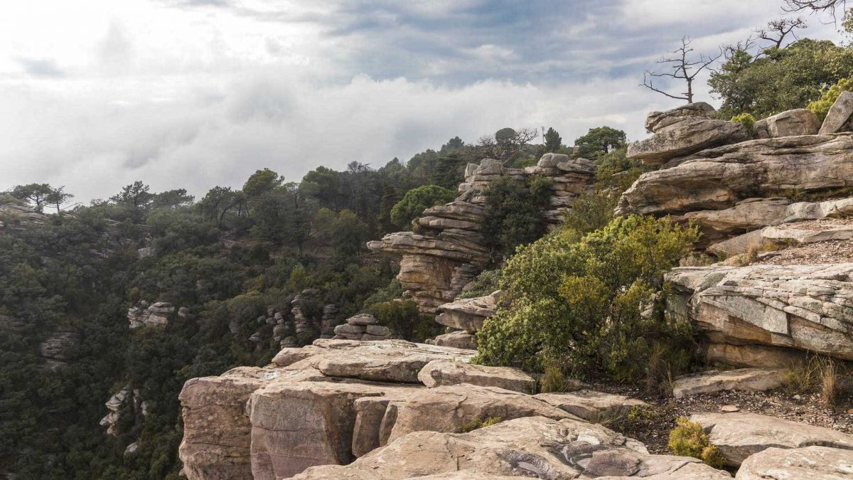 Parque Natural de la Serra Calderona - Turisme Comunitat Valenciana