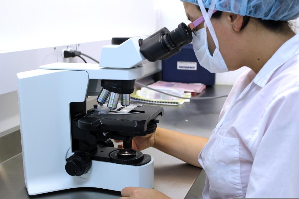 Apoyo a la investigación.