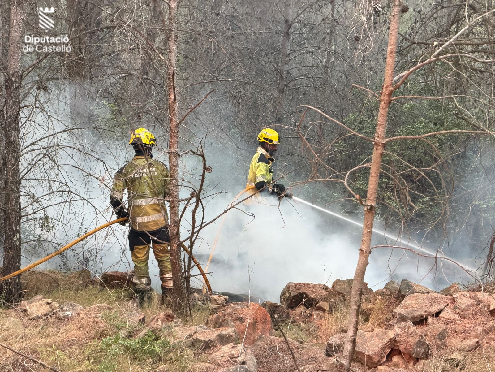 Bombers de Castelló combaten un incendi forestal