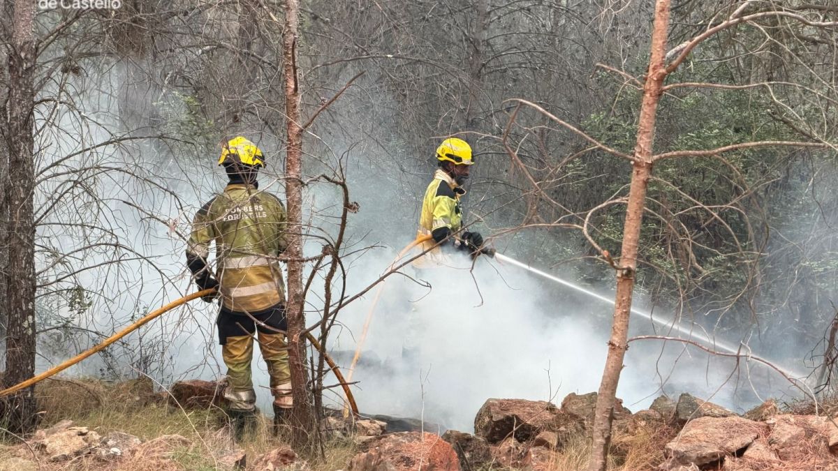 Bomberos de Castellón combaten un incendio forestal