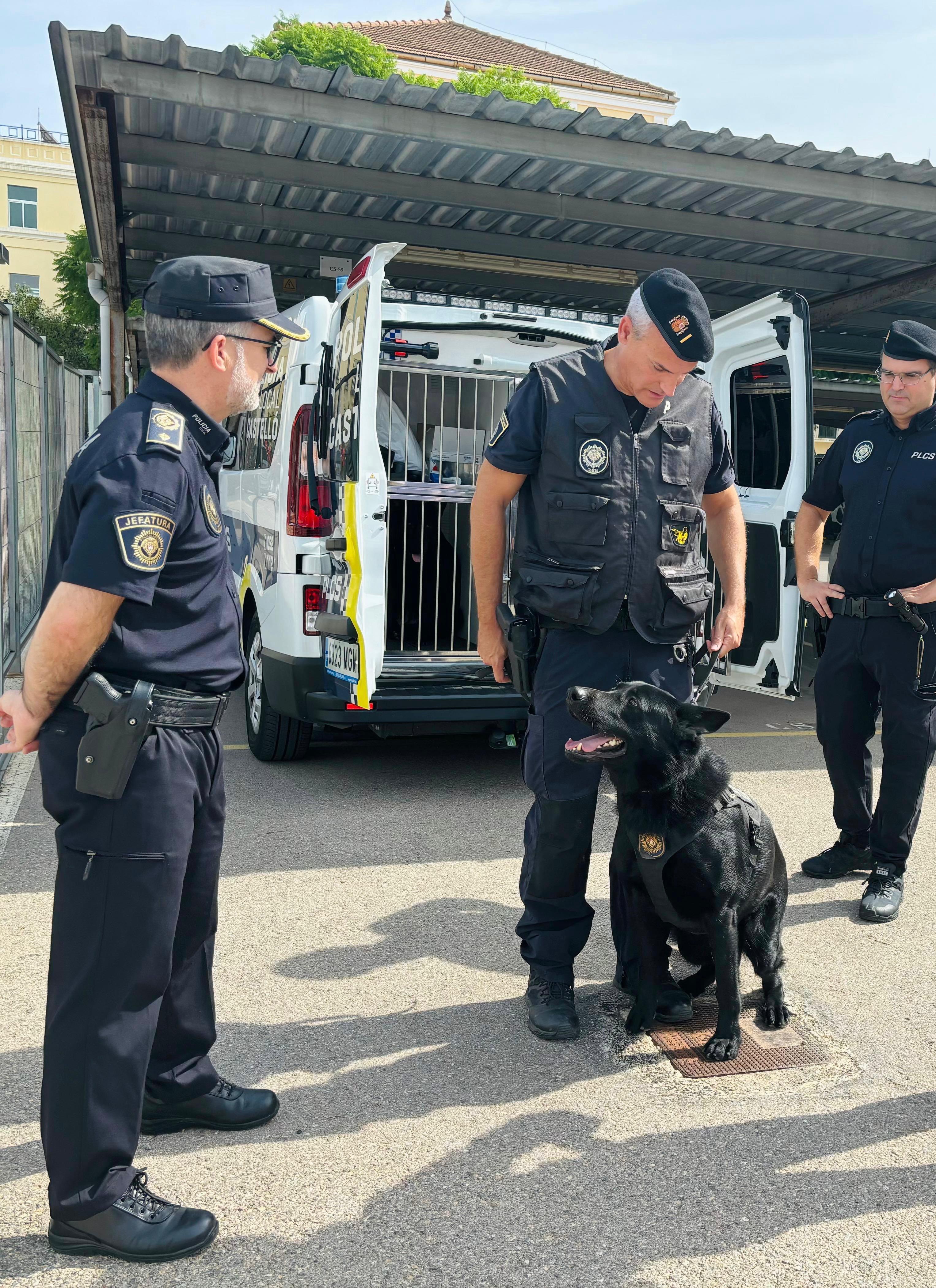 Unitat canina de la Policia Local de Castelló