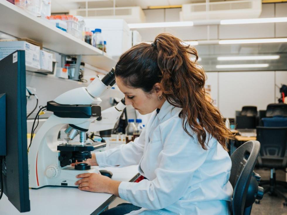 Investigación.