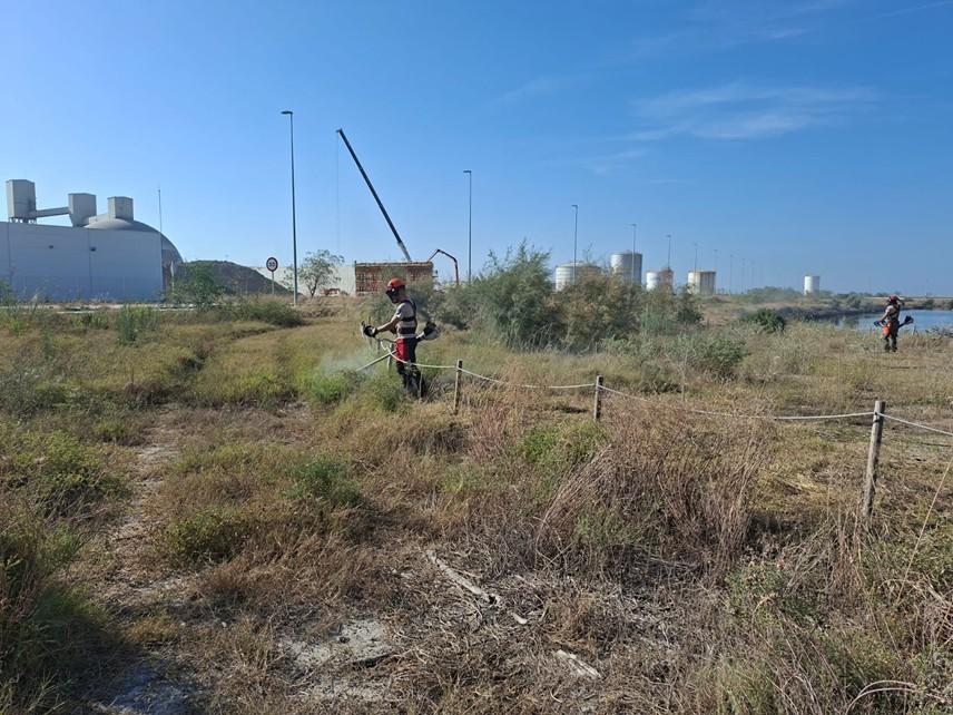 image?url=https%3A%2F%2Fcomunica.gva.es%2Fo%2Fadaptive media%2Fimage%2F413509367%2Fm%2Fxarxa2000%2Bpuerto%2Bcastell%25C3%25B3n%2Bflora%2BPE