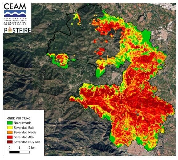 Anàlisi sobre les condicions de la vegetació prèvies a l'incendi a la Vall d'Uixó