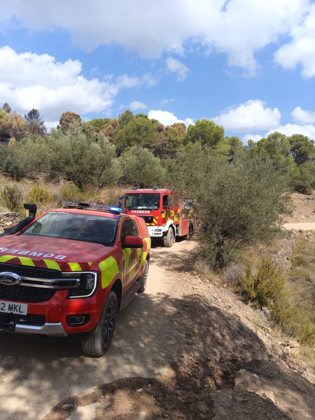 Bombers del Consorci de Castelló a Segorbe