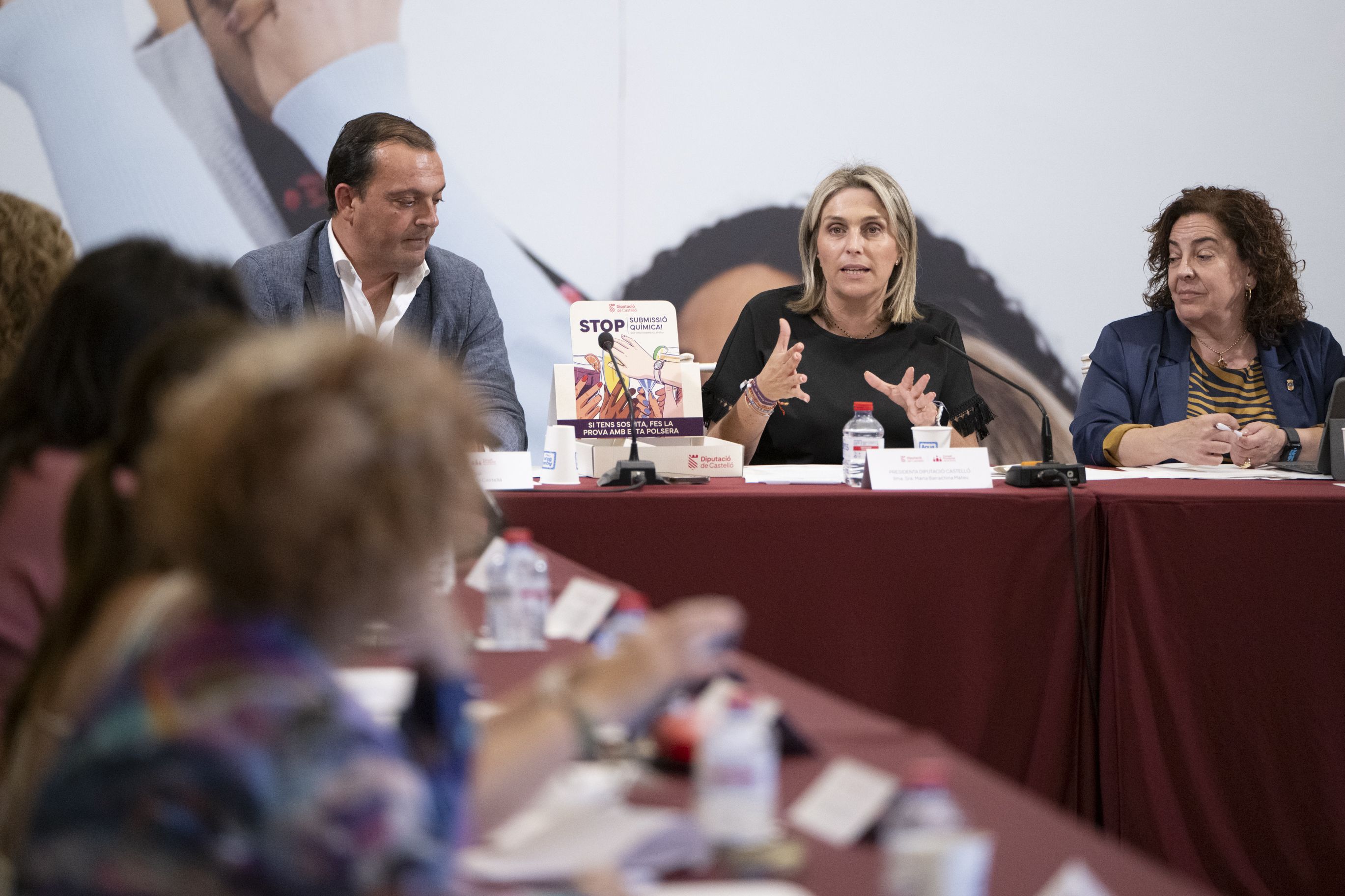 La presidenta de la Diputació de Castelló, Marta Barrachina