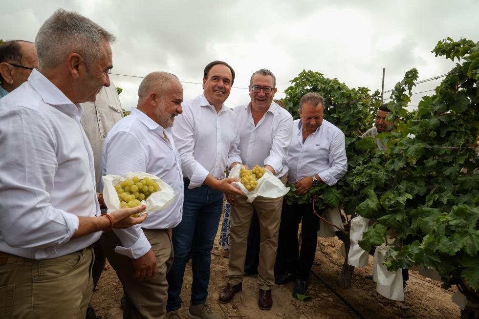 Visita de Pérez Llorca a los campos de agricultores