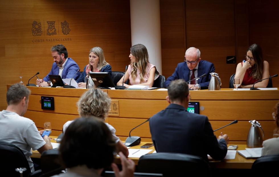 Comisión de Educación de Les Corts Valencianes