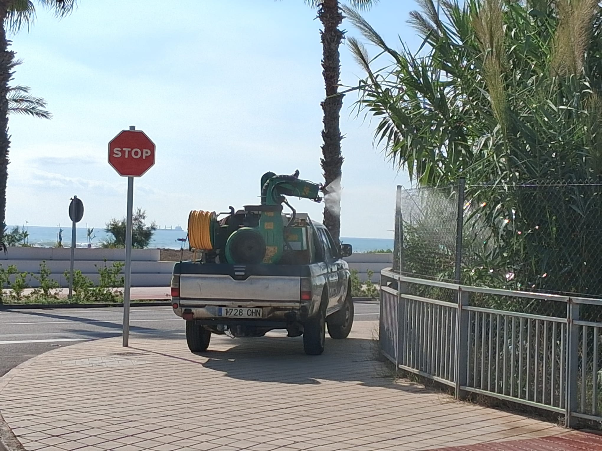 Pla contra els mosquits a Castelló