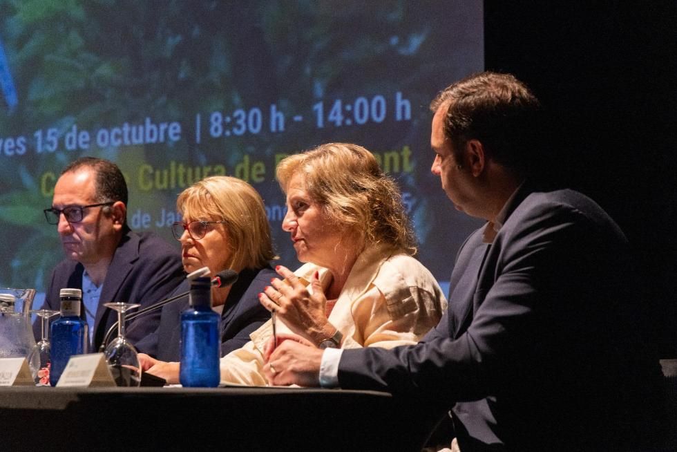 Maria Ángeles Ramón-Llin