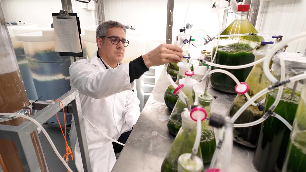 Un profesional de la salud en el laboratorio