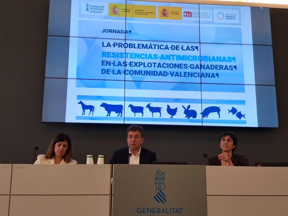Jornada